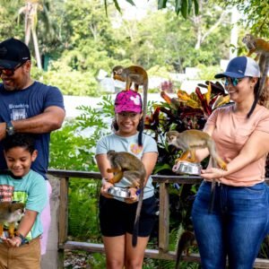 Ziplines + Monkeyland Samaná