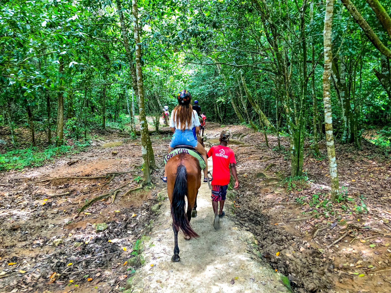 Horseback Riding Adventure – Explore Nature on Horseback