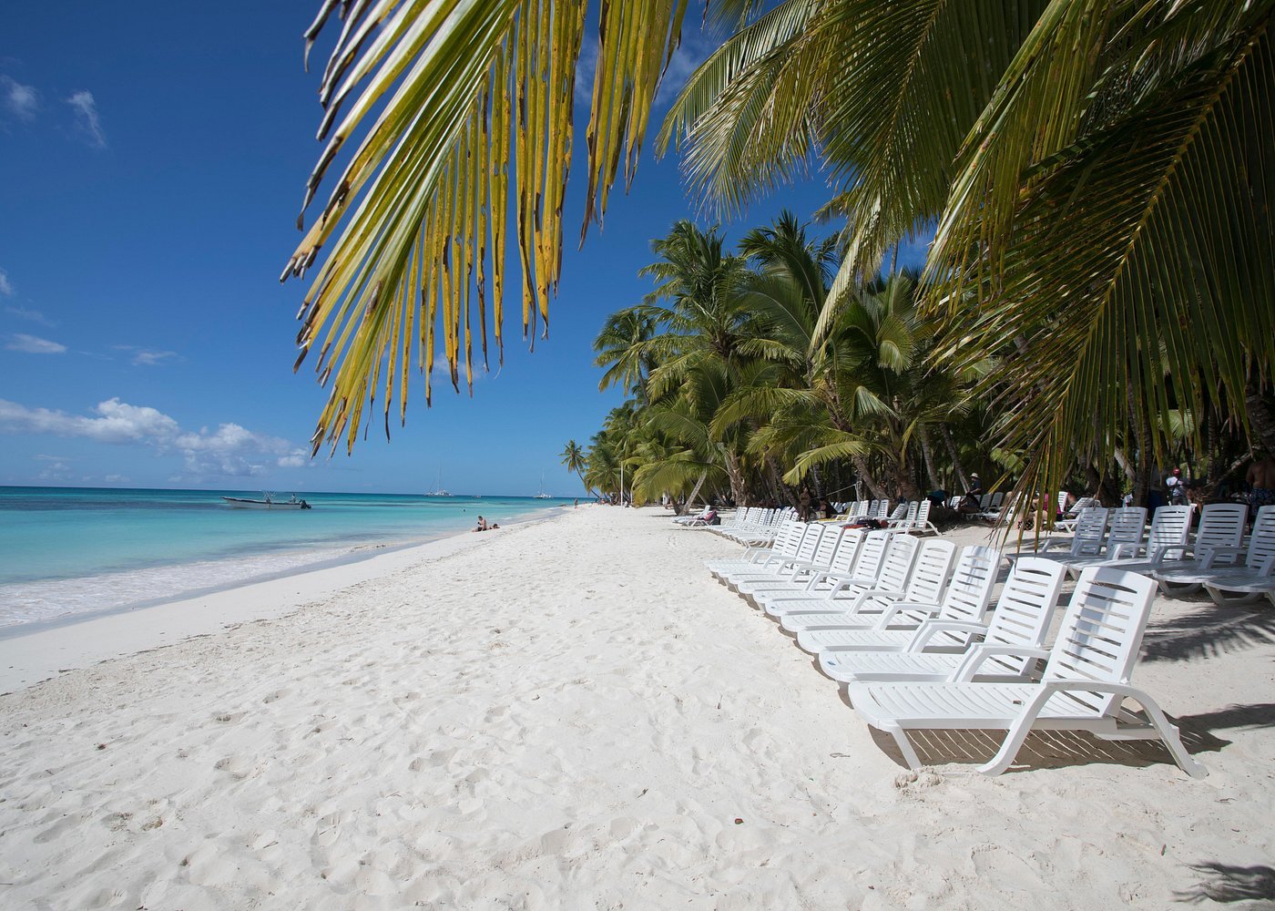 Saona Island Tour - Imagen 3